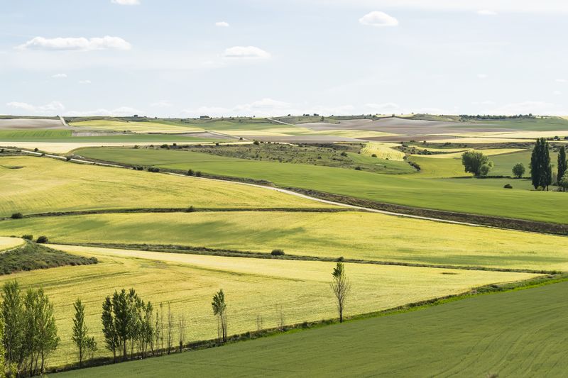 granice działek budowalnych